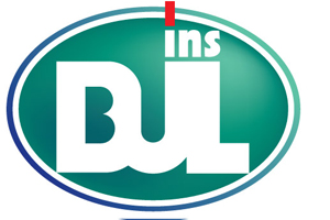 bulins